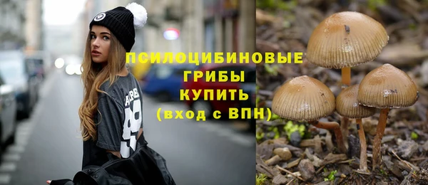 дживик Нефтегорск