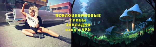 дживик Нефтегорск