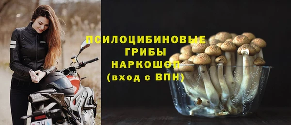 дурь Нея
