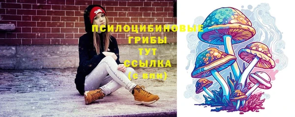 хмурый Нефтекумск