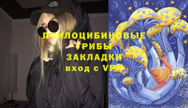 дурь Нея