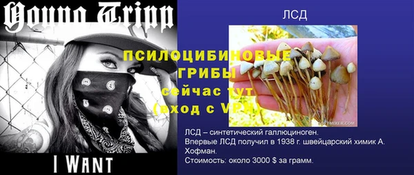 дживик Нефтегорск