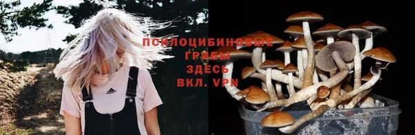 хмурый Нефтекумск