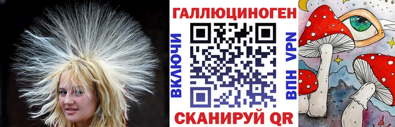Галлюциногенные грибы GOLDEN TEACHER  закладки  blacksprut зеркало  Новомичуринск 
